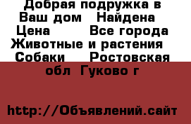 Добрая подружка,в Ваш дом!!!Найдена › Цена ­ 10 - Все города Животные и растения » Собаки   . Ростовская обл.,Гуково г.